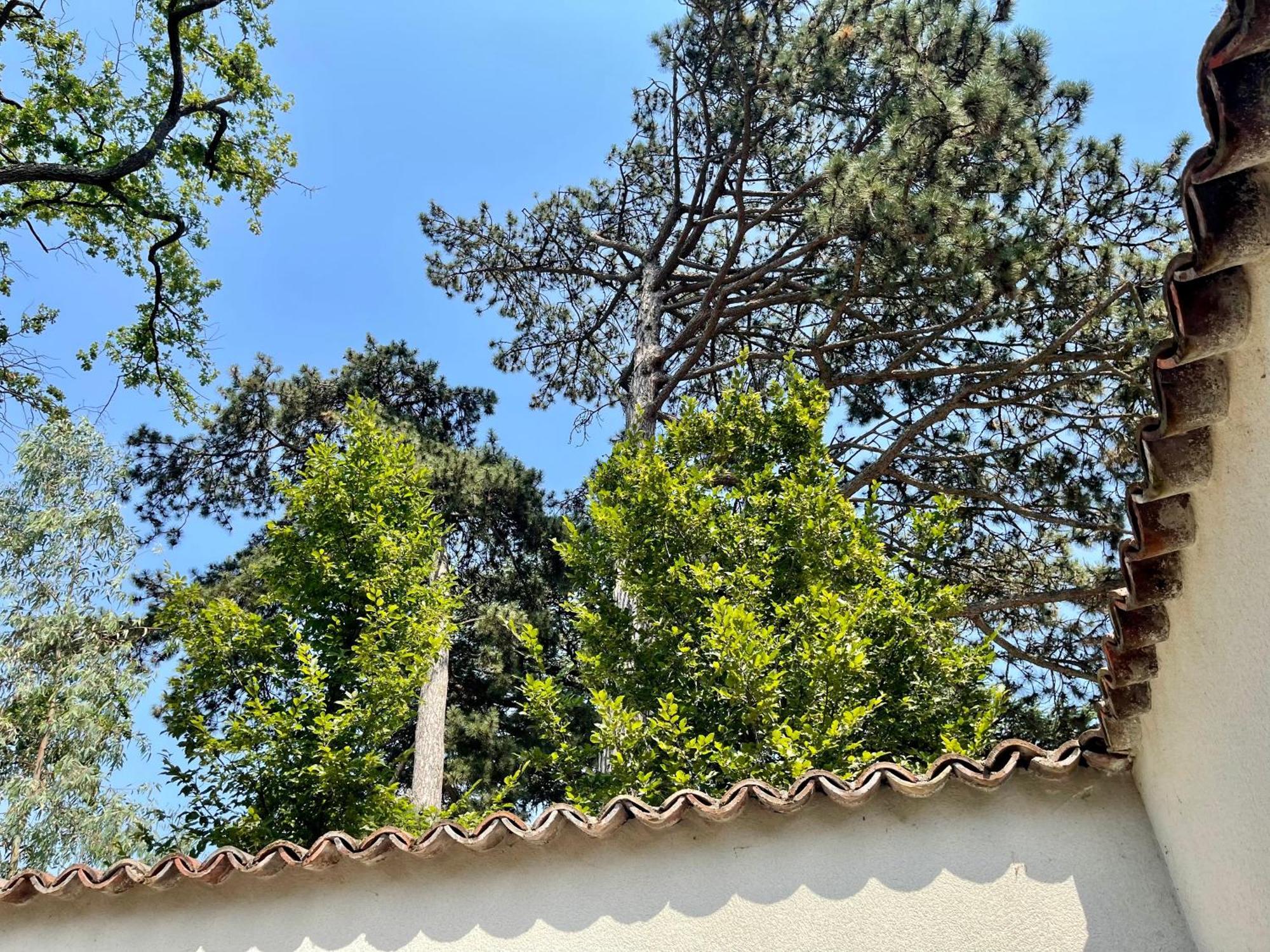 Bed and Breakfast Aux Tourelles 1888 - Tres Proche Lyon Tassin-la-Demi-Lune Exterior foto